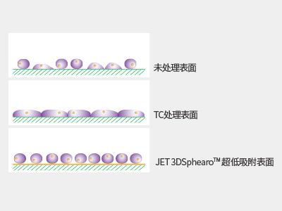 超低吸附表面具有共價(jià)結(jié)合的水凝膠層，具有極強(qiáng)的抗蛋白吸附性和抗細(xì)胞貼壁性，可有效抑制細(xì)胞附著