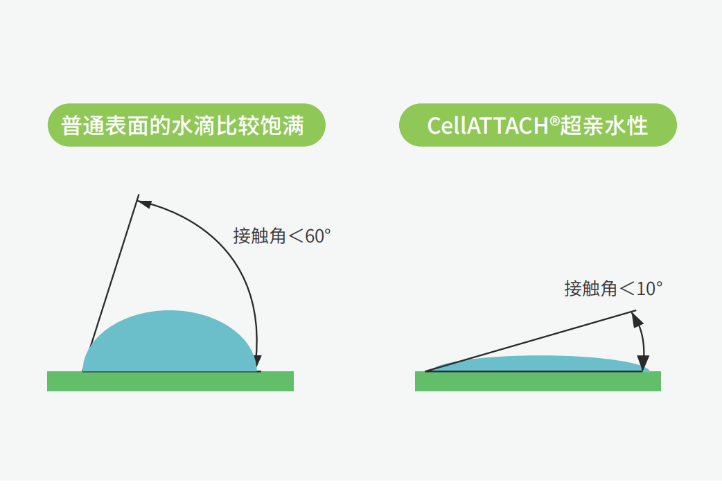 獨(dú)特的超親水表面處理技術(shù)，能為細(xì)胞提供更好的吸附性，促進(jìn)細(xì)胞快速貼壁生長，提高產(chǎn)量